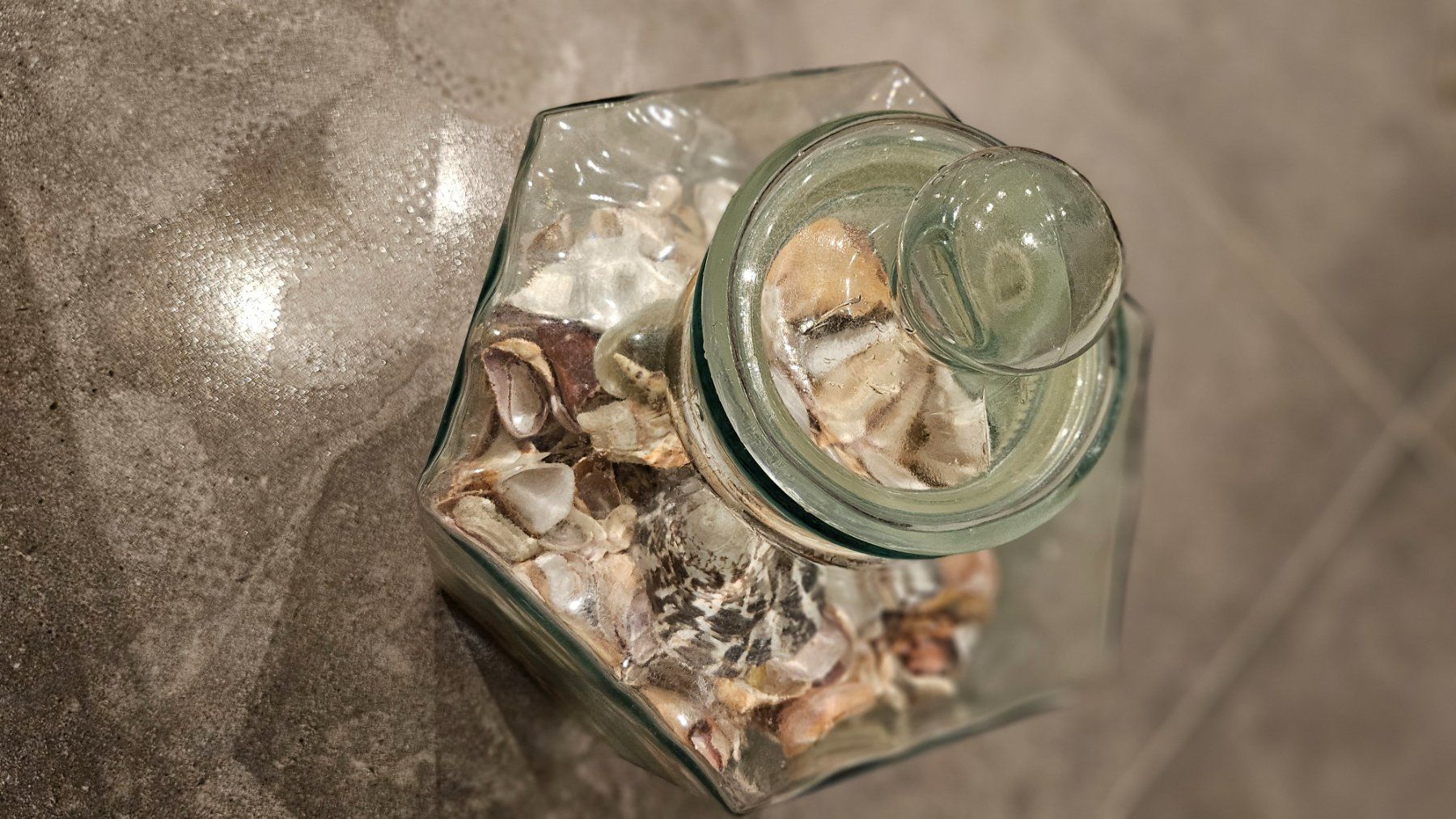 Toutes les décorations: Muschelsammlung – D'occasion à Siglistorf par ester23 2