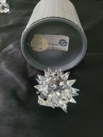 Swarovski Igel Mittel Rar 7630/040 Vintage