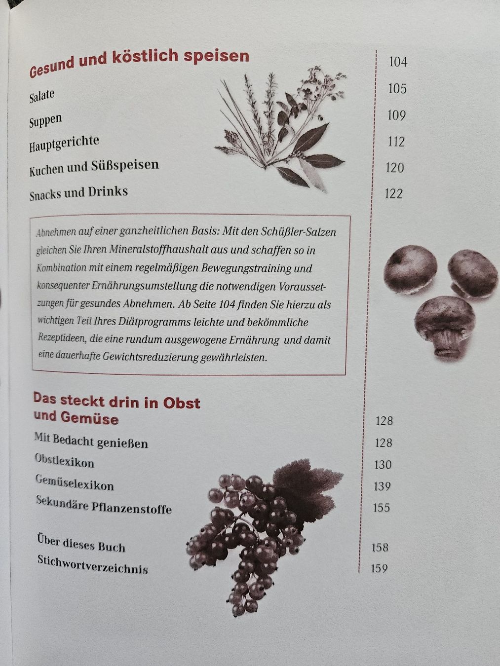 Libri: Schlank mit Schüssler Salzen - Das Original Buch – Usato da Urdorf venduto da Colina 2