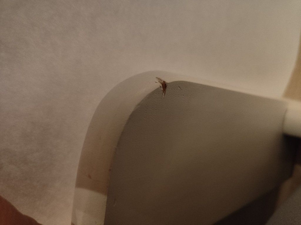 Letti: Ausziehbett – Usato da Marbach SG venduto da mosch03 5