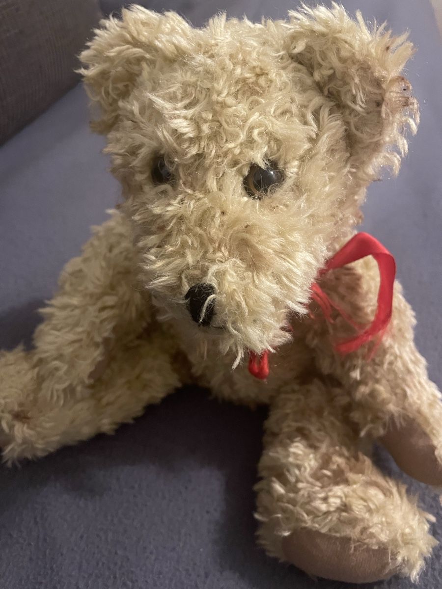 Spielzeuge: Alter Teddybär – Gebraucht aus Münchenstein von Kapris 2