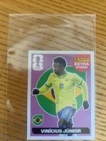 Panini Extra Sticker Vinícius Júnior pink