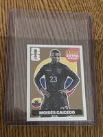 Panini Extra Sticker Caicedo