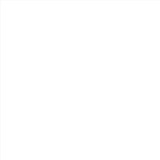 Profile image of anesganicc