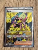 Canari 257/217 