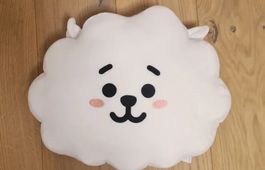 Süsses BT21 RJ Kissen, neuwertig & kuschelig!