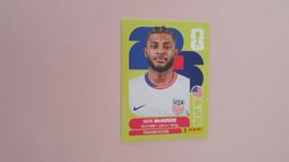 Panini Sticker WM 2026 - USA 5