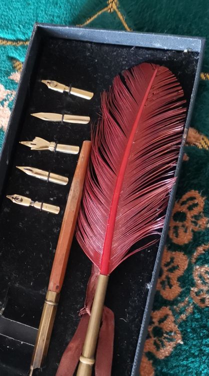 Stylo Plume Vintage WEKAMOS - Plume D'oie Décorative, 5 Pointes Interchangeables - Pour Calligraphie, Dessin, Cadeau Rétro - 3