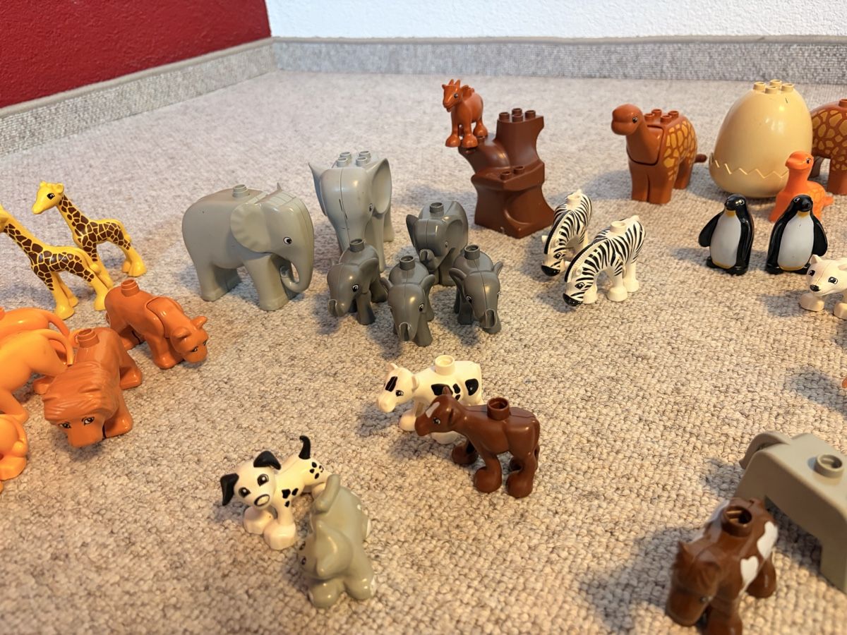 Lego Spielzeuge: LEGO DUPLO Tiere/ Einzelteile  – Gebraucht aus Istighofen von sax_p65z 1