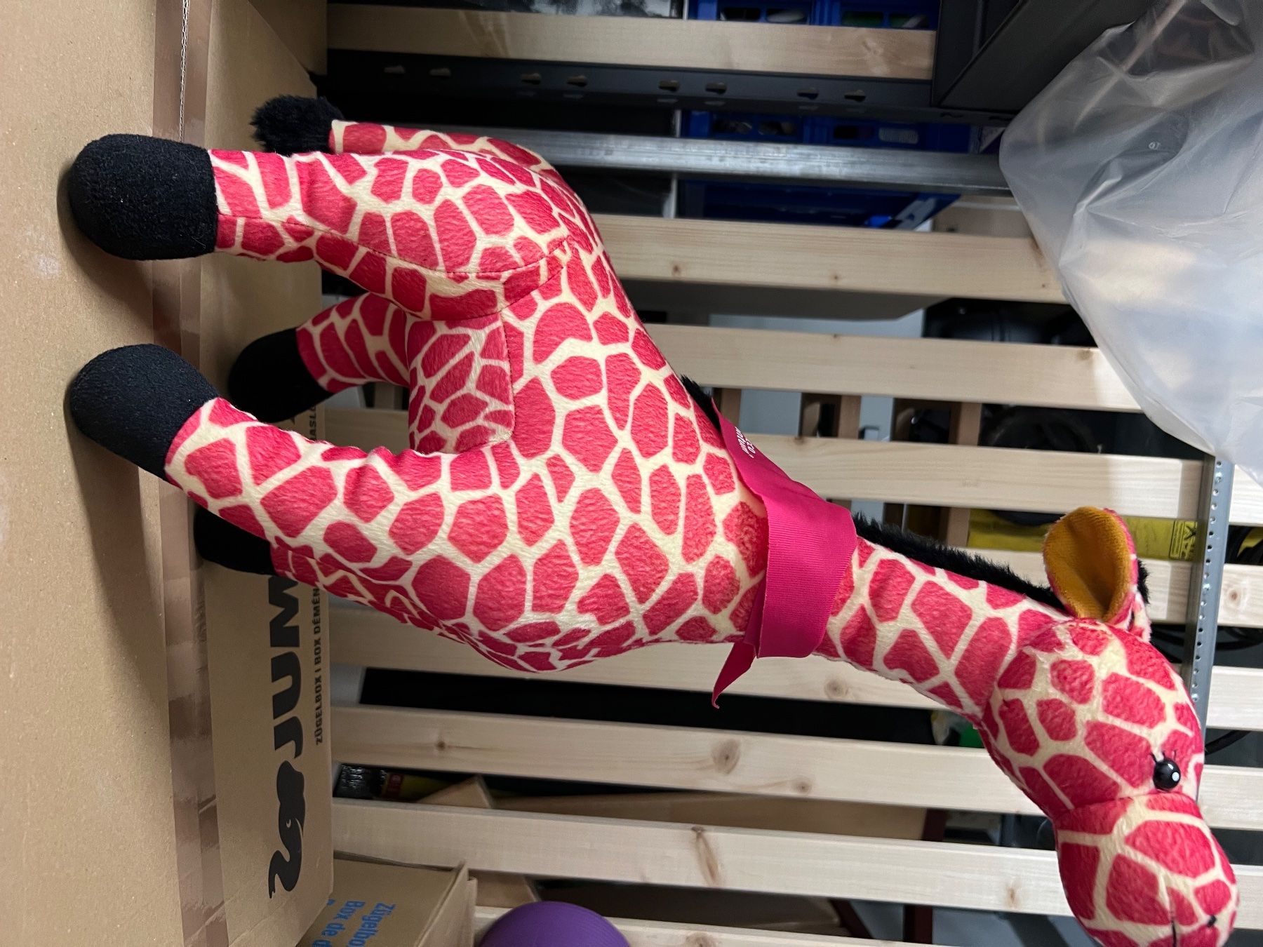 Giocattoli: Rosa Giraffe Plüschtier – Usato da Niederweningen venduto da zw4_s78j 4