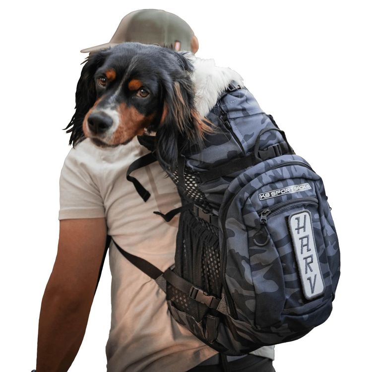 K9 Sport Sack Plus 2, camo in Gr. S (Neu und originalverpackt) in Wiler ...