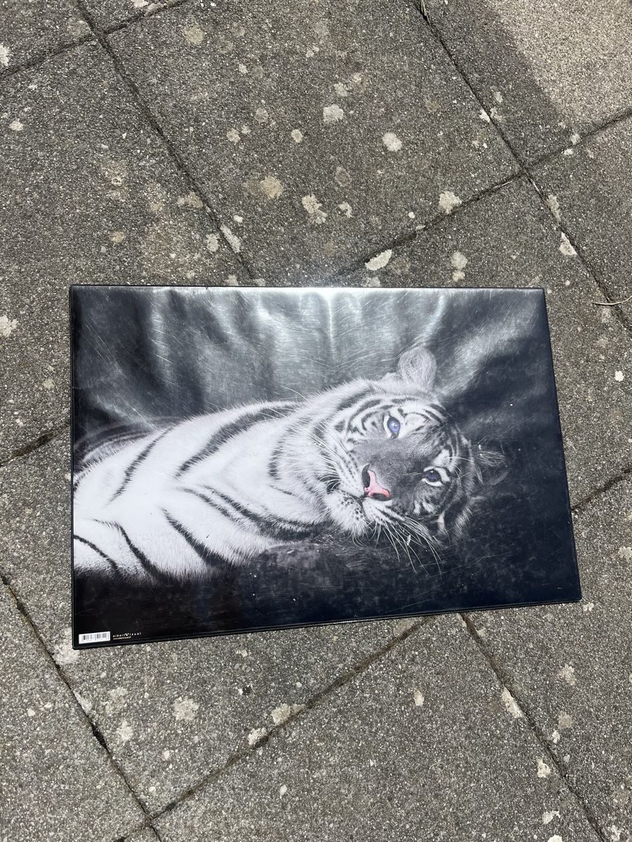 Foto & Immagini: Cartable de bureau tigre blanc  – Usato da Villars-sur-Glâne venduto da maeva_polesports 1