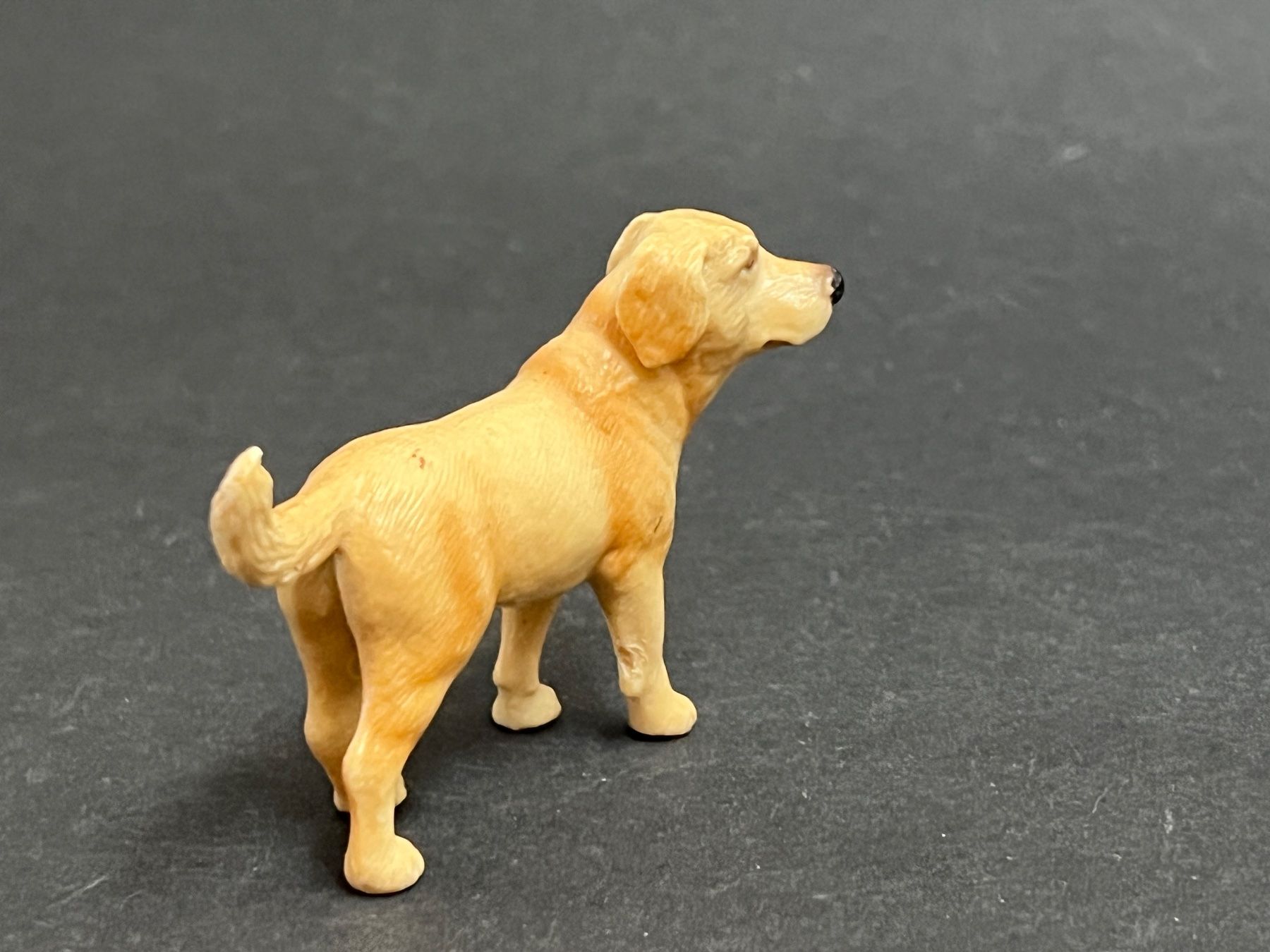 Schleich Figuren: Schleich 16329 - Labrador gelb Hund – Gebraucht aus Ennetbaden von mapa05 3