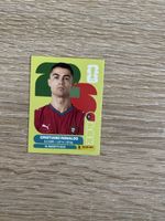 Panini POR 15