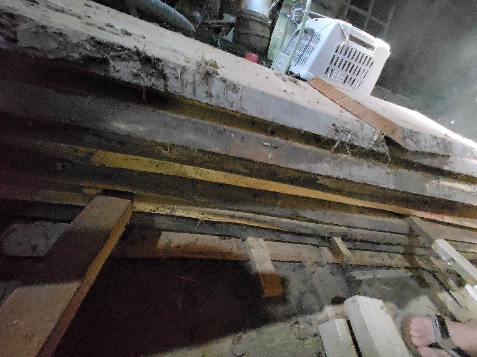 Articoli in legno: Fichten Bretter – Nuovo (secondo la descrizione) da Watt venduto da claumau1 2