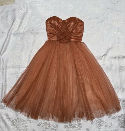 Elisabetta Franchi dress new