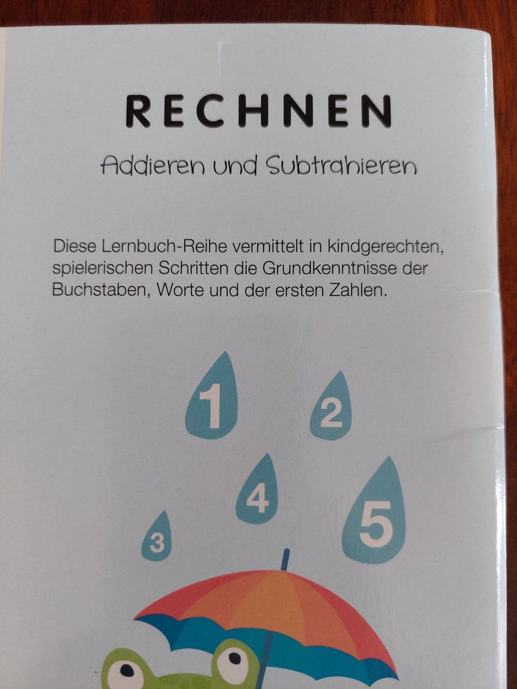Libri: Rechnen Übungsheft – Nuovo (secondo la descrizione) da Beckenried venduto da Havacola 3