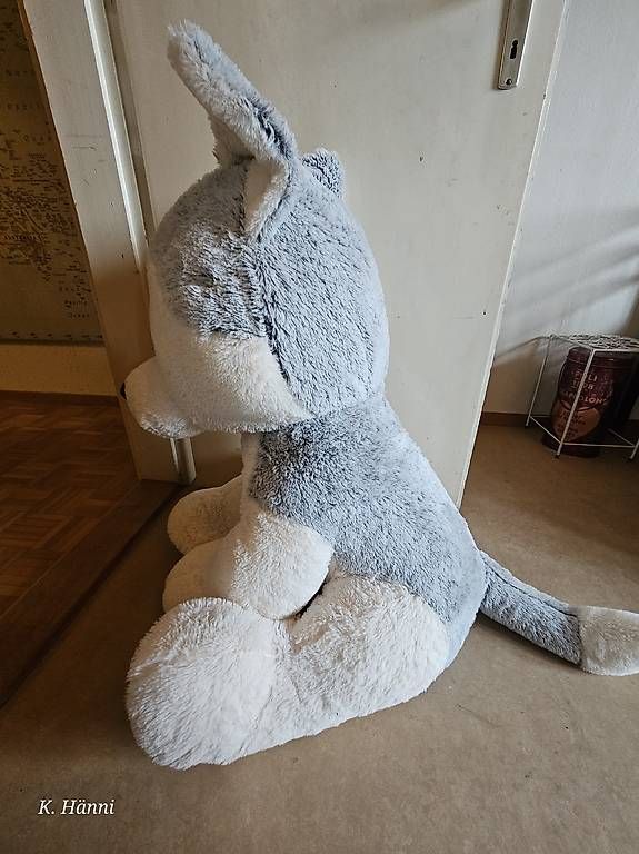 Giocattoli: Riesen Plüsch-Husky  – Usato da Berikon venduto da kat_bxc6 1
