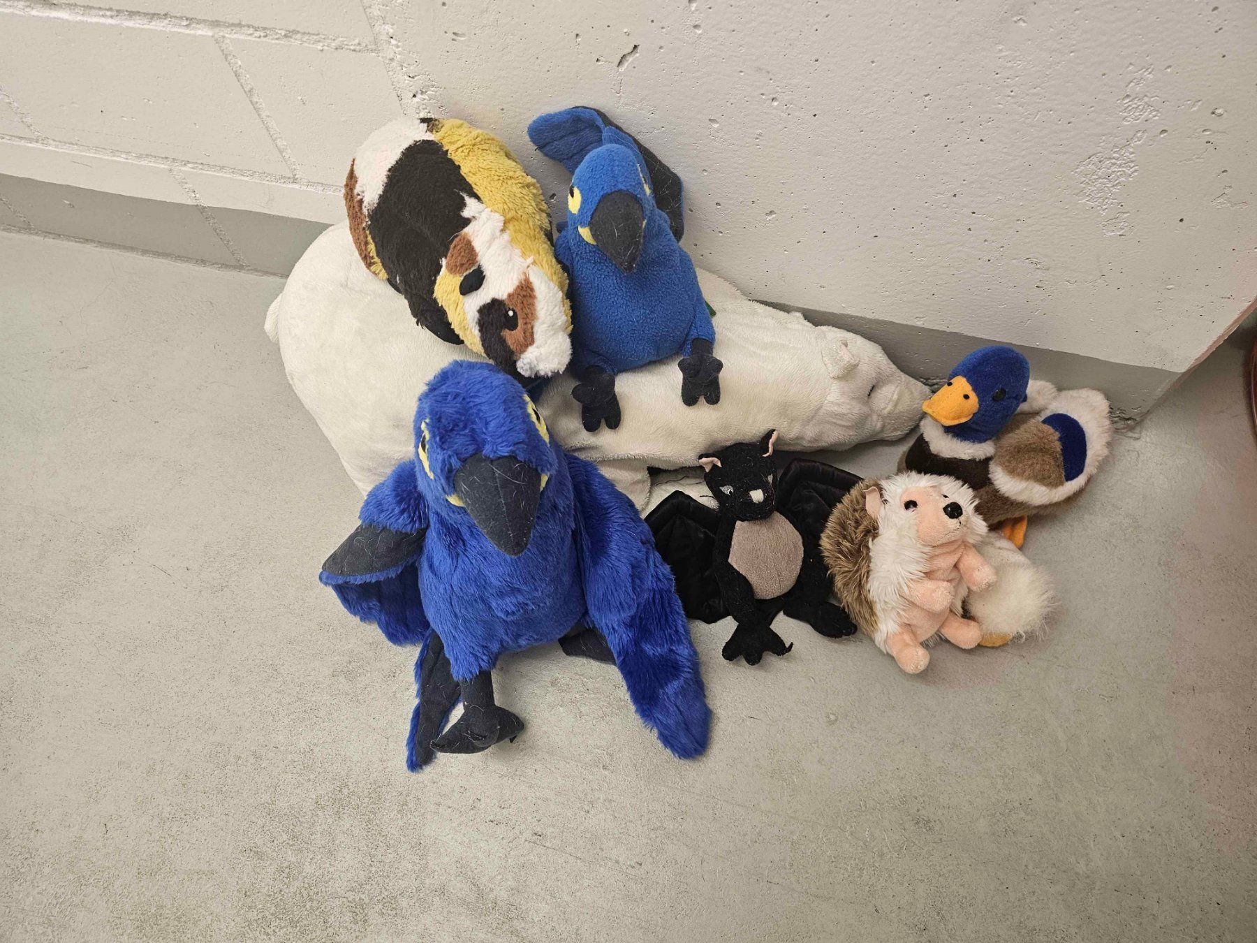 Spielzeuge: Plüschtier Tiere gemischt – Gebraucht aus Oberuzwil von ItzSenju_ 6