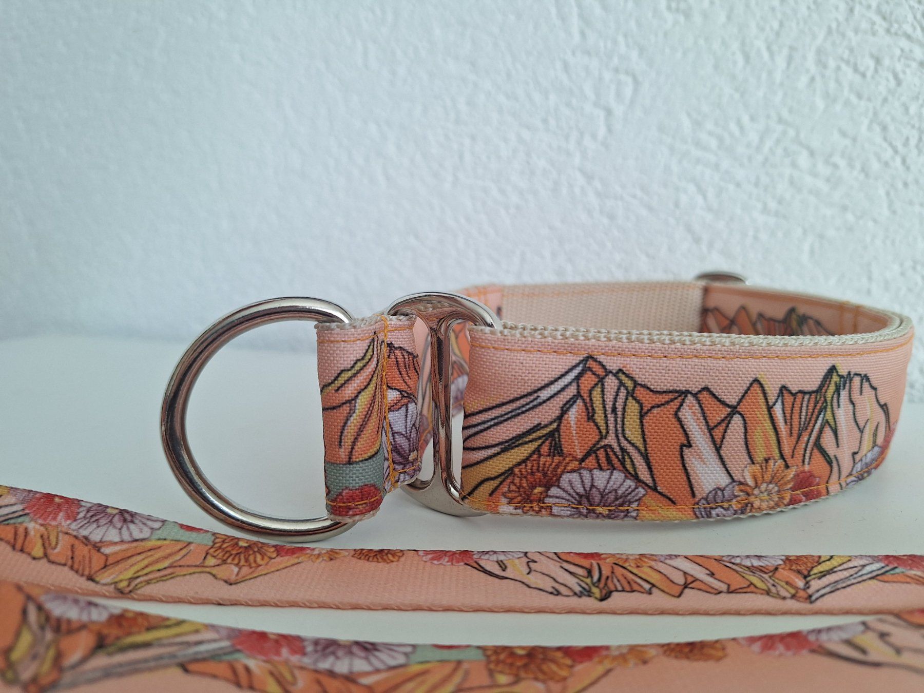 Guinzagli & Collari: Exklusives Halsband-Leine Set!! – Usato da Schmerikon venduto da Mycheyenne 1