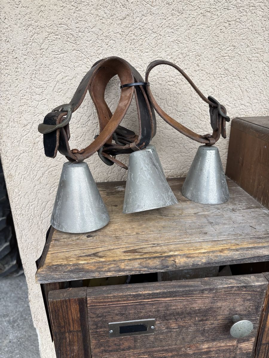 Cloches & sonnailles: Schaf/Ziegenglocken. – D'occasion à Schangnau par Roseggli82 5
