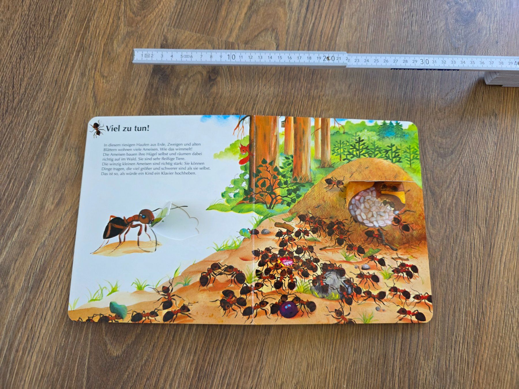 Kinderbuch: Das ist der Wald Klappbuch 24  m (Gebraucht) in Nebikon Kinderbuch: Das ist der Wald Klappbuch 24  m (Gebraucht) in Nebikon