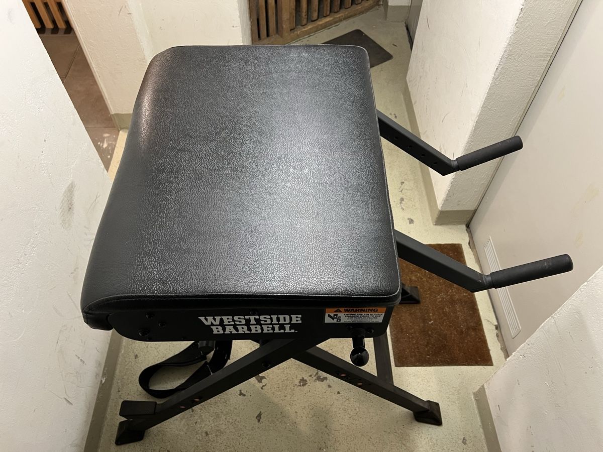 Rogue Hometrainer: ROGUE WESTSIDE SCOUT HYPER - Krafttraining – Usato da Thun venduto da nightshift007 2