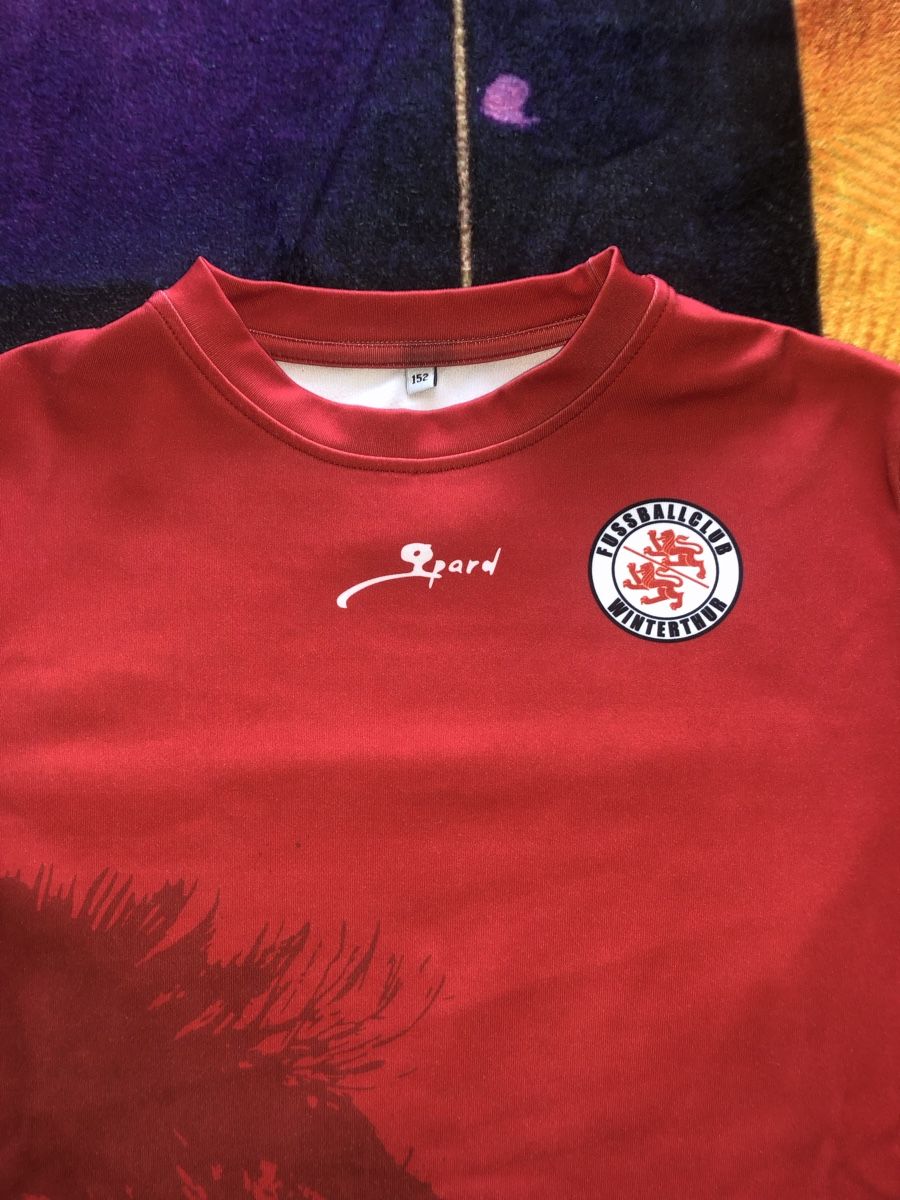 Pulls et sweat-shirts: Fc Winterthur Kinder Pulli 152 – D'occasion à Winterthur par goofelsmann 1