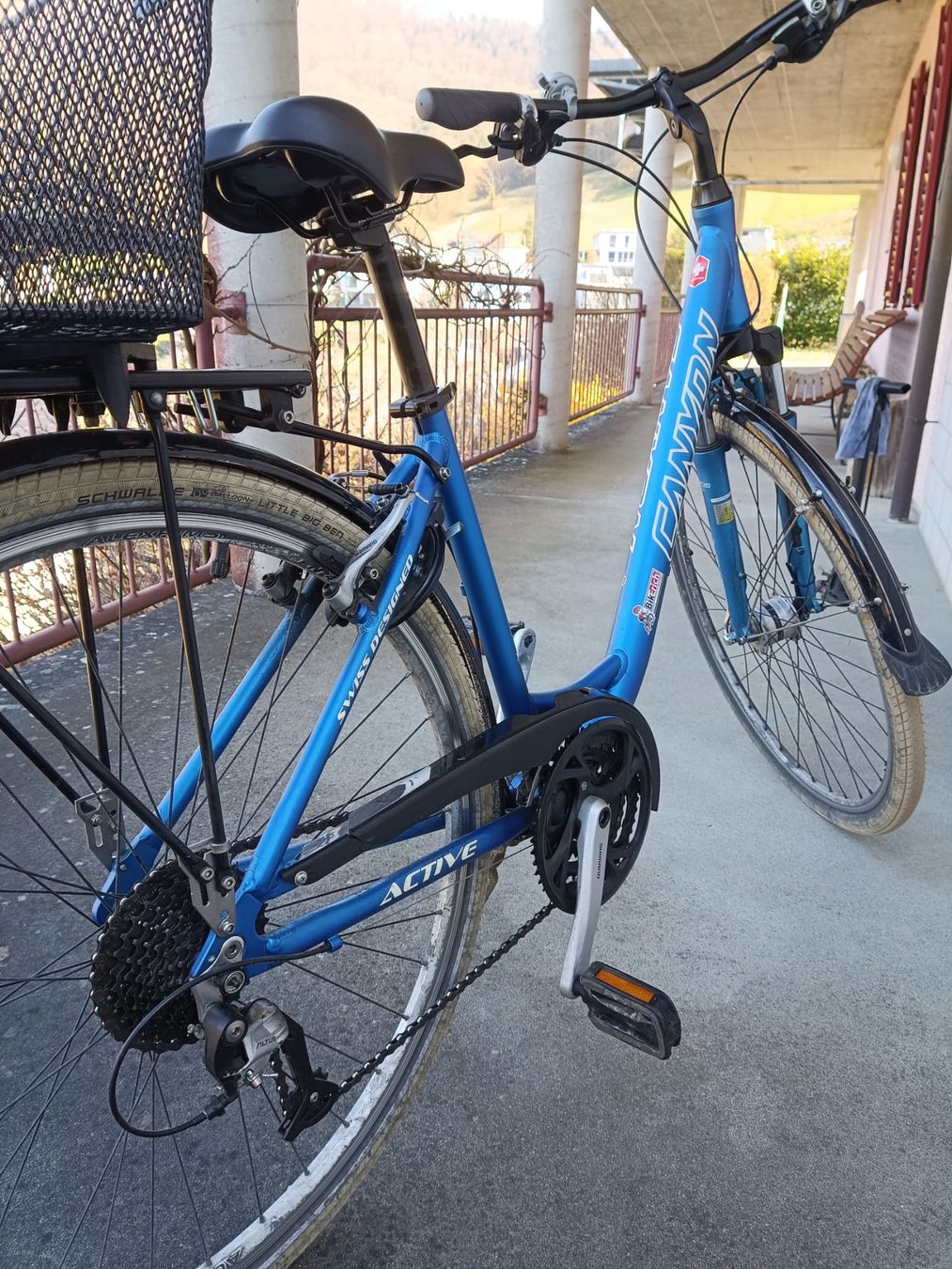 Canyon Biciclette: Canyon Damenvelo – Usato da Biberstein venduto da Anja7 7