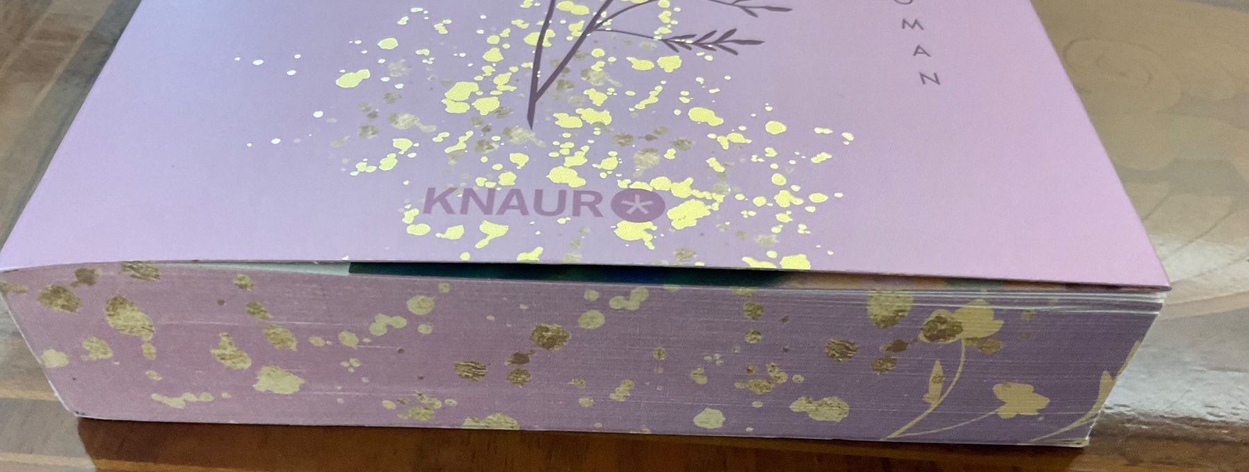 Libri: Lilly Lucas, This could be Forever – Usato da Niederteufen venduto da sicmu 5
