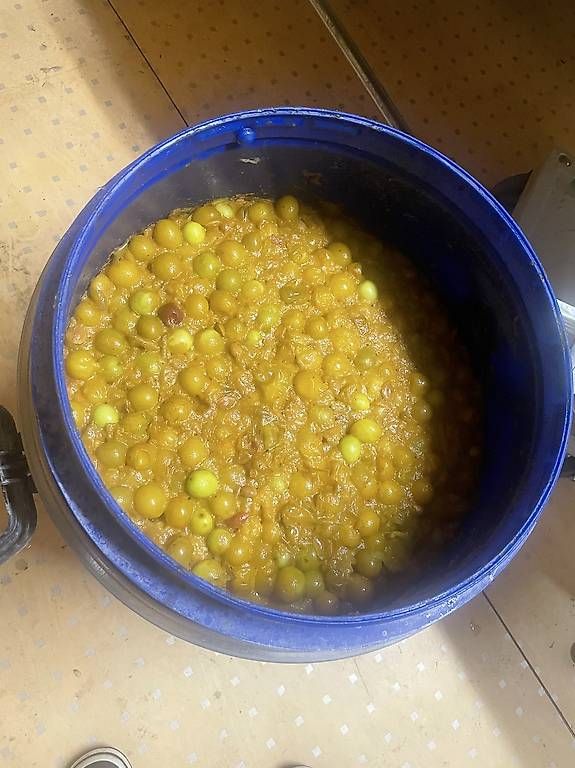 Bevande alcoliche: Mirabellenschnaps zu verkaufen – Usato da Ostermundigen venduto da samot72 2