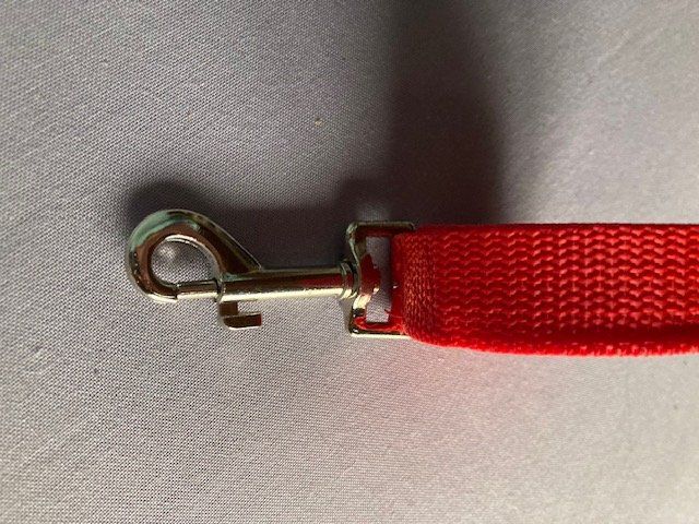 Guinzagli & Collari: Hunde Schleppleine 1,7 m – Nuovo e nell'imballaggio originale da Matt venduto da Westigruppe 1