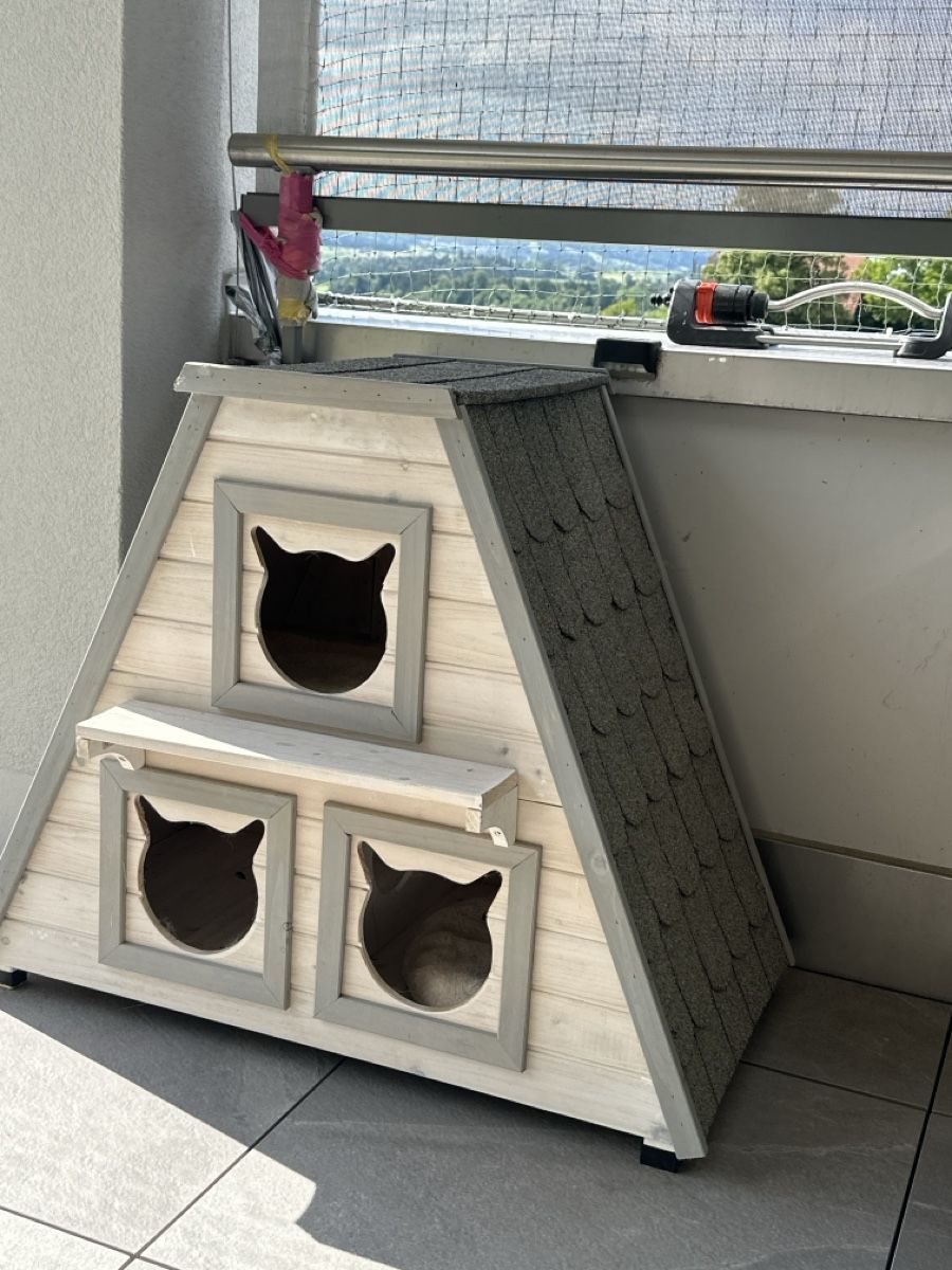 Cucce & Letti: Katzenhaus – Usato da Luzern venduto da Rxzime 1