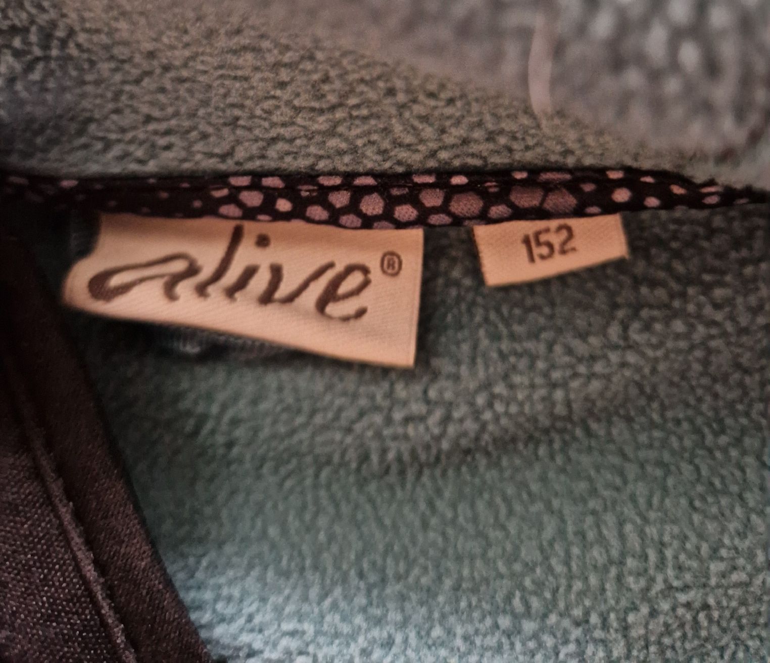 Giacche: Softshelljacke Gr 152 💙 – Usato da Rupperswil venduto da lenzburg02 1