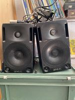 Genelec 1029A Paar | Aktiv Studiomonitore