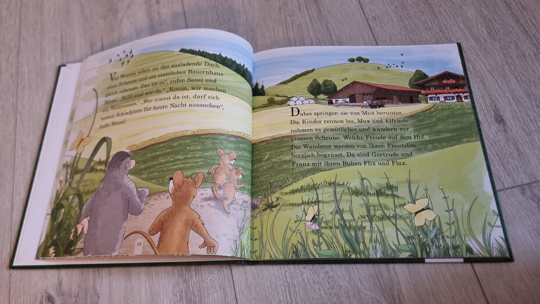 Bücher: Märchenbuch: Mux der Maulwurf - Endlich Ferien! – Gebraucht aus Wigoltingen von Zuckerfee84 2