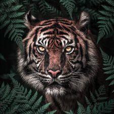 Profile image of Scor823