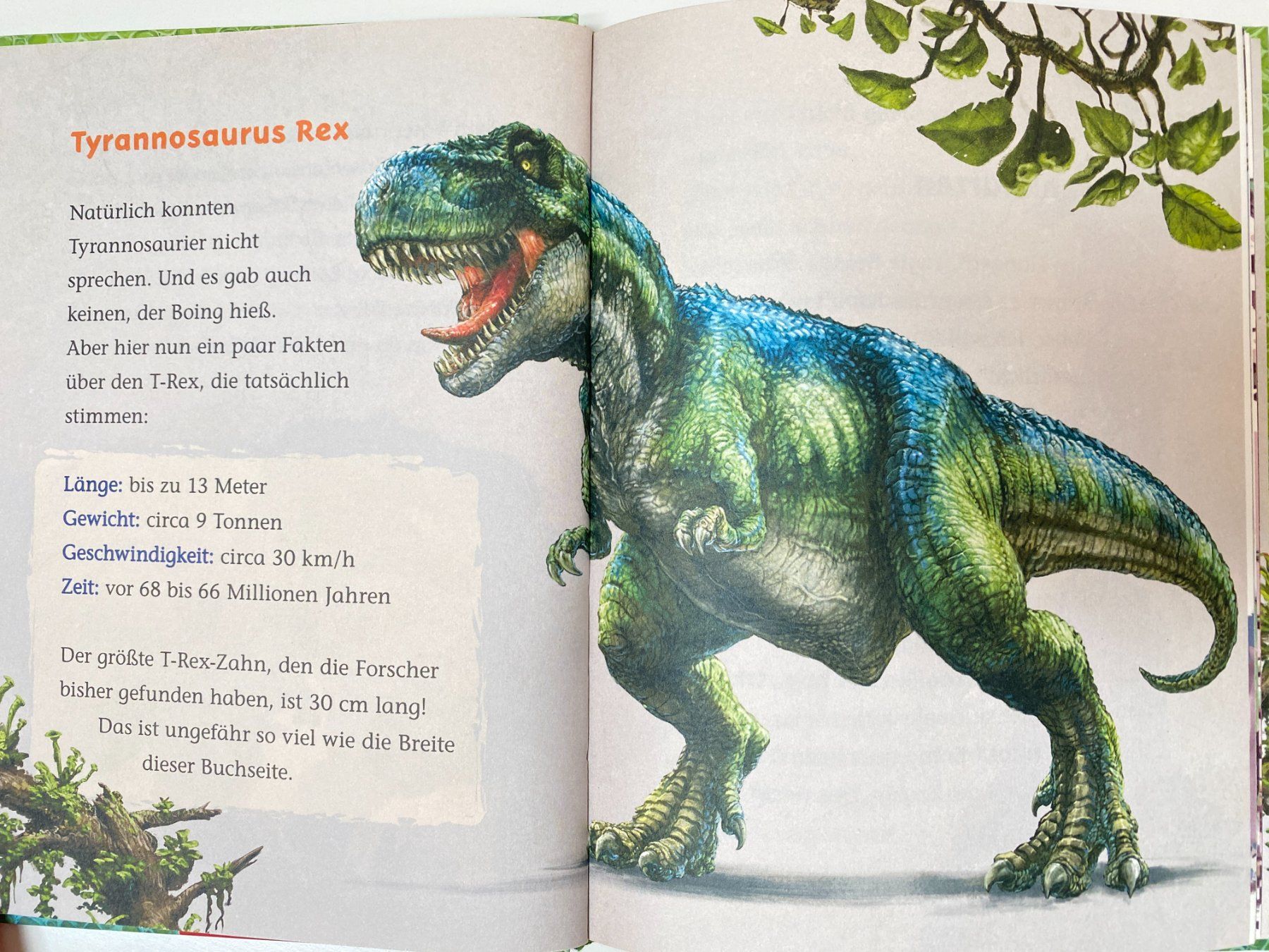 Libri: Für Leseanfänger "T-Rex World" – Nuovo (secondo la descrizione) da Rudolfstetten venduto da ari-h 4