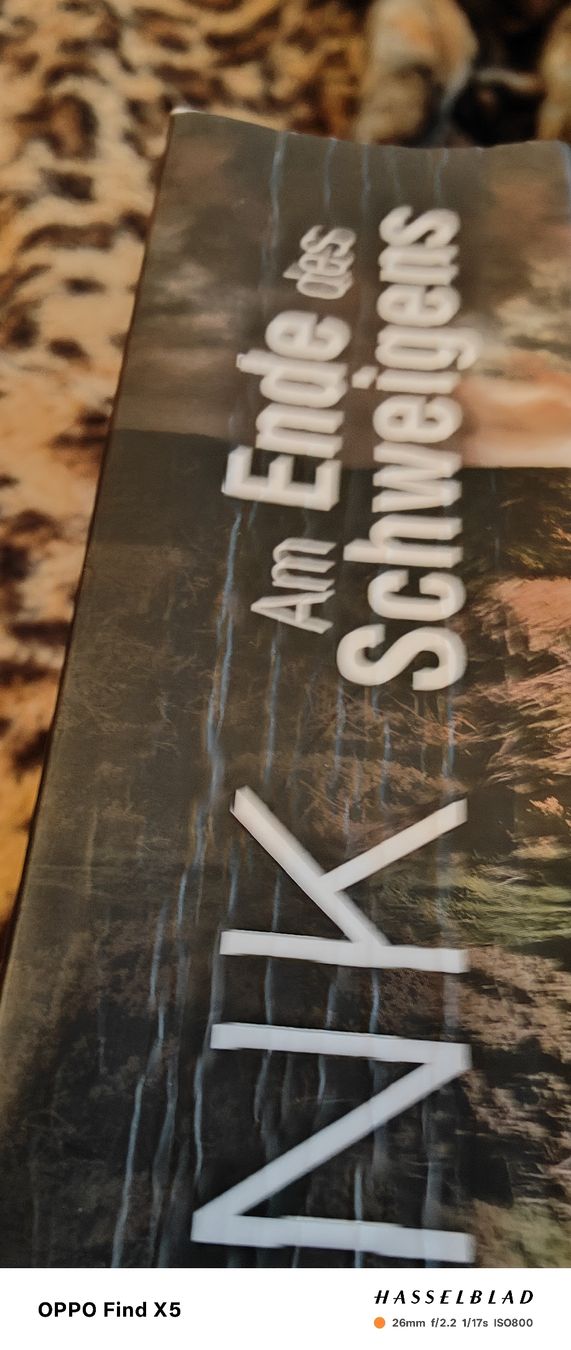 Libri: Am Ende des Schweigens – Nuovo (secondo la descrizione) da Volken venduto da katz5