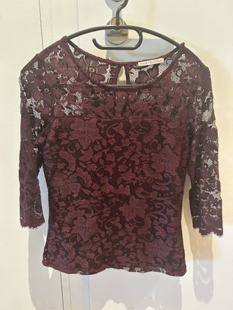 Oberteil Spitzenmuster Anna Field Petite ❤️Bordeaux Gr. XS