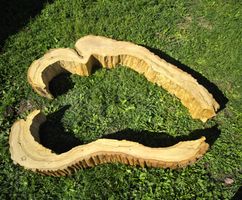 Lindenholz 100 cm X 110 cm Tiefe ca. 20 cm