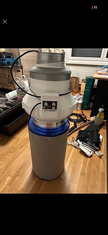Altro: Set CBD Grow Hydro indoor – Usato da Hohenrain venduto da Schnaegli 2