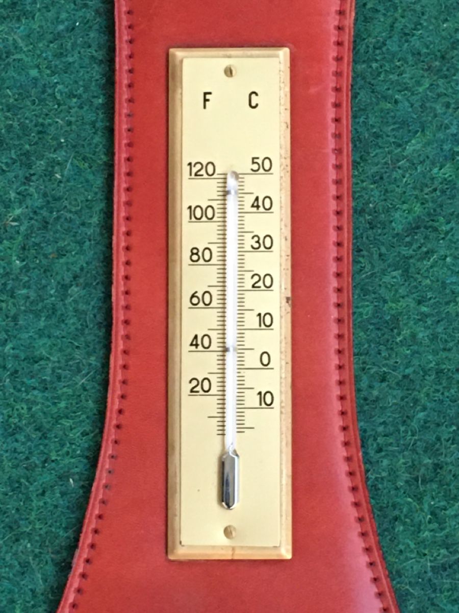 Altro per la casa: Wetterstation Leder – Usato da Wangen b. Olten venduto da Finolino28 2