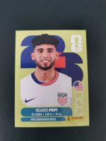 Panini FIFA World Cup Sticker USA 18