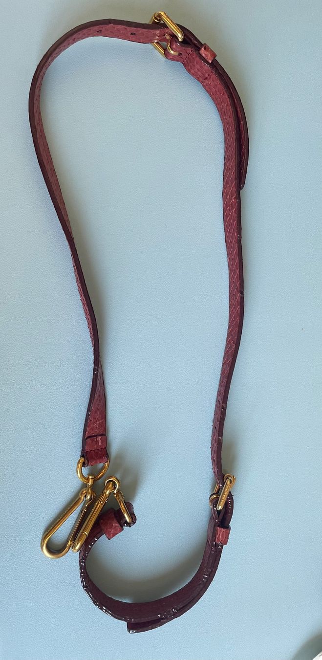 Louis Vuitton Altro in  Abbigliamento & Accessori: Louis Vuitton shoulder strap in reddish python leather – Usato da Baden venduto da ale_9jr2 4