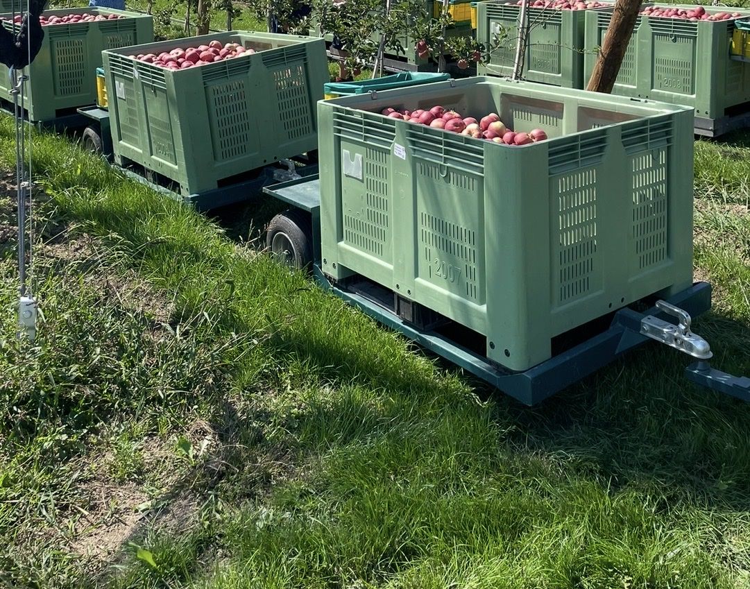 Anhänger: Erntewagen – Gebraucht aus Rain von ManuEstermann