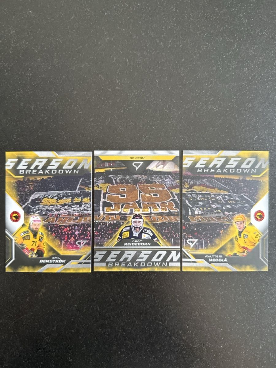Sportzoo Carte collezionabili: Sportzoo season breakdown SCB Berne  – Nuovo e nell'imballaggio originale da Posieux venduto da figaro_nala