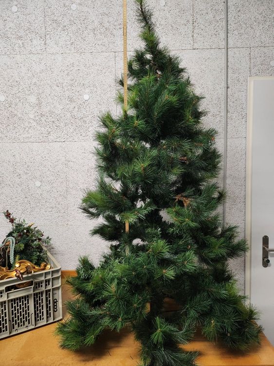 EXCEART DIY Weihnachtsglocken - Bastelspaß Für Die Festtage