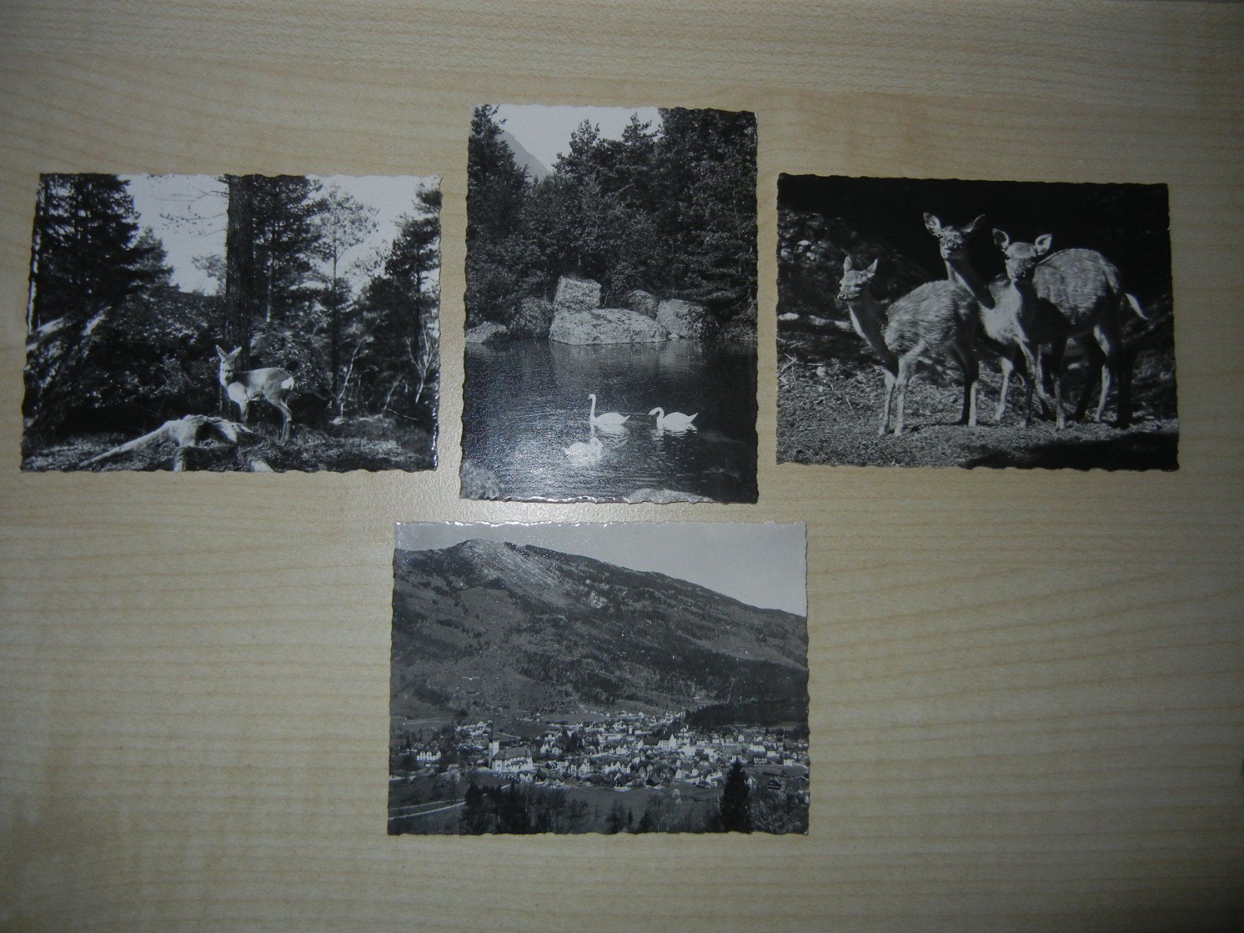 Cartes postales: Minis cartes de Goldau – D'occasion à Courtelary par vivi94