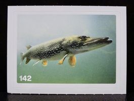 MIGROS MANIA Nature Detectives Nr. 142